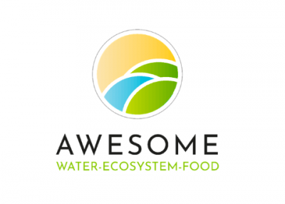 AWESOME project officially started