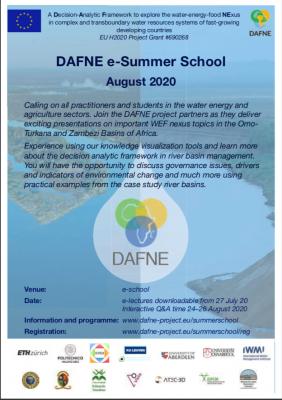 DAFNE e-Summer School August 2020