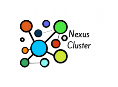 News- bulletin of the Nexus Project Cluster – Issue 2 (March 2021)